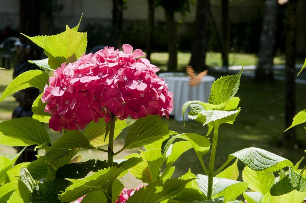 Hostal Ayestaran I เลคุนเบร์รี ภายนอก รูปภาพ